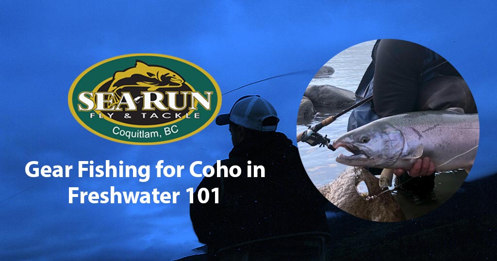 Gear Fishing for Coho in Freshwater 101