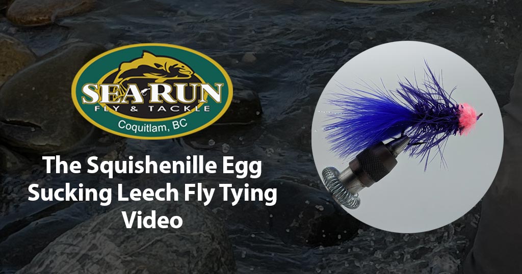 The Squishenille Egg Sucking Leech Fly Tying Video