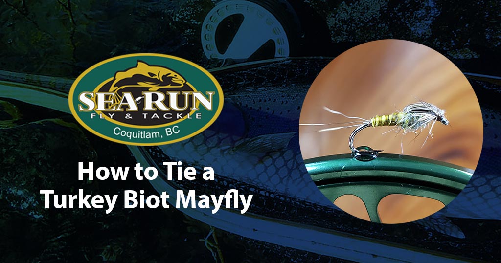 Biot Body Mayfly Recipe