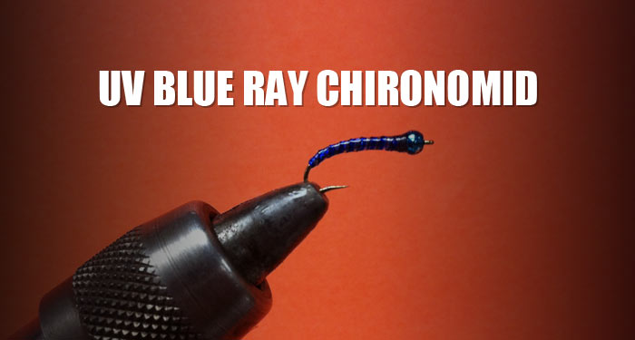 UV Blue Ray Chironomid
