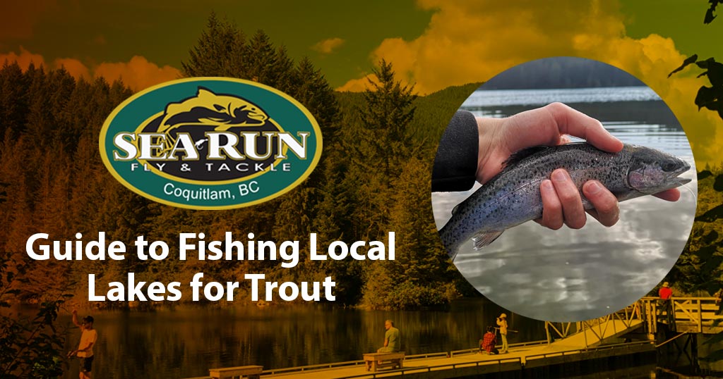 Guide to Fishing Local Lakes for Trout
