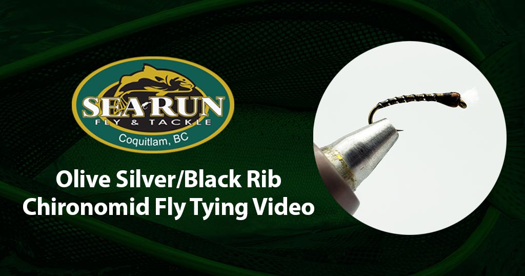 Olive Silver/Black Rib Chironomid Fly Tying Video