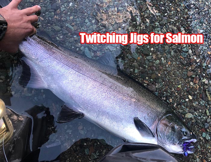 Twitching Jigs for Salmon