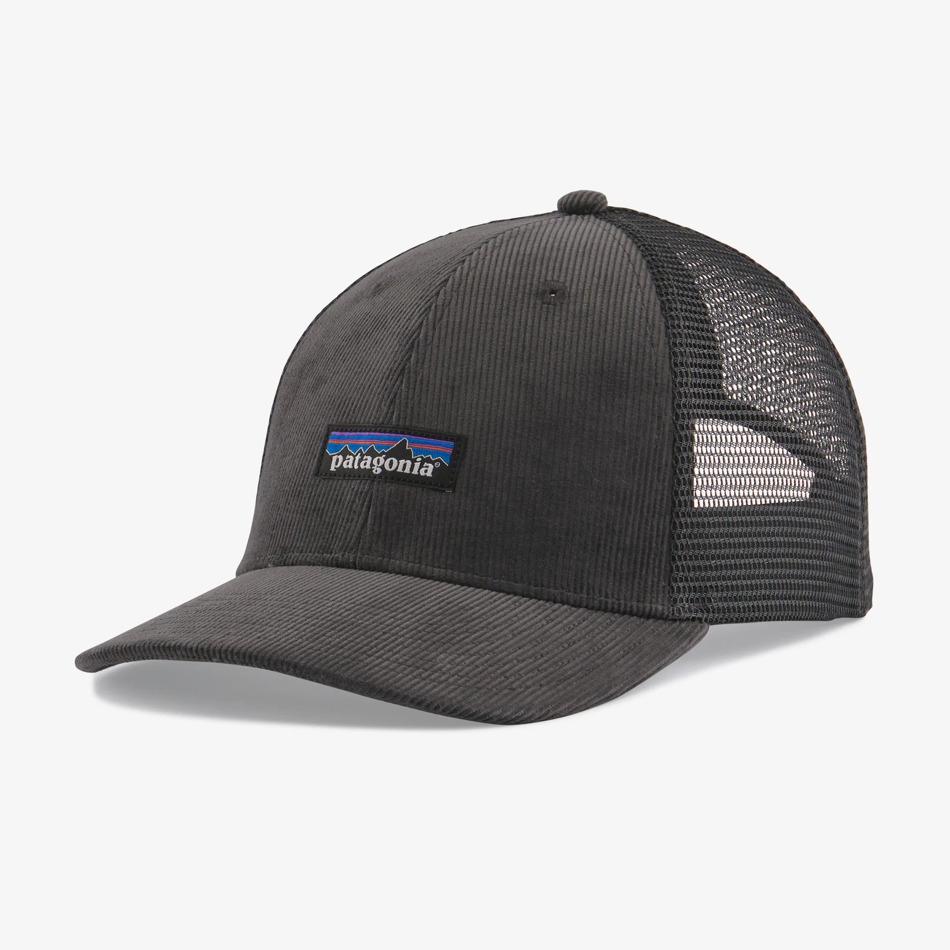 Grey top patagonia hat