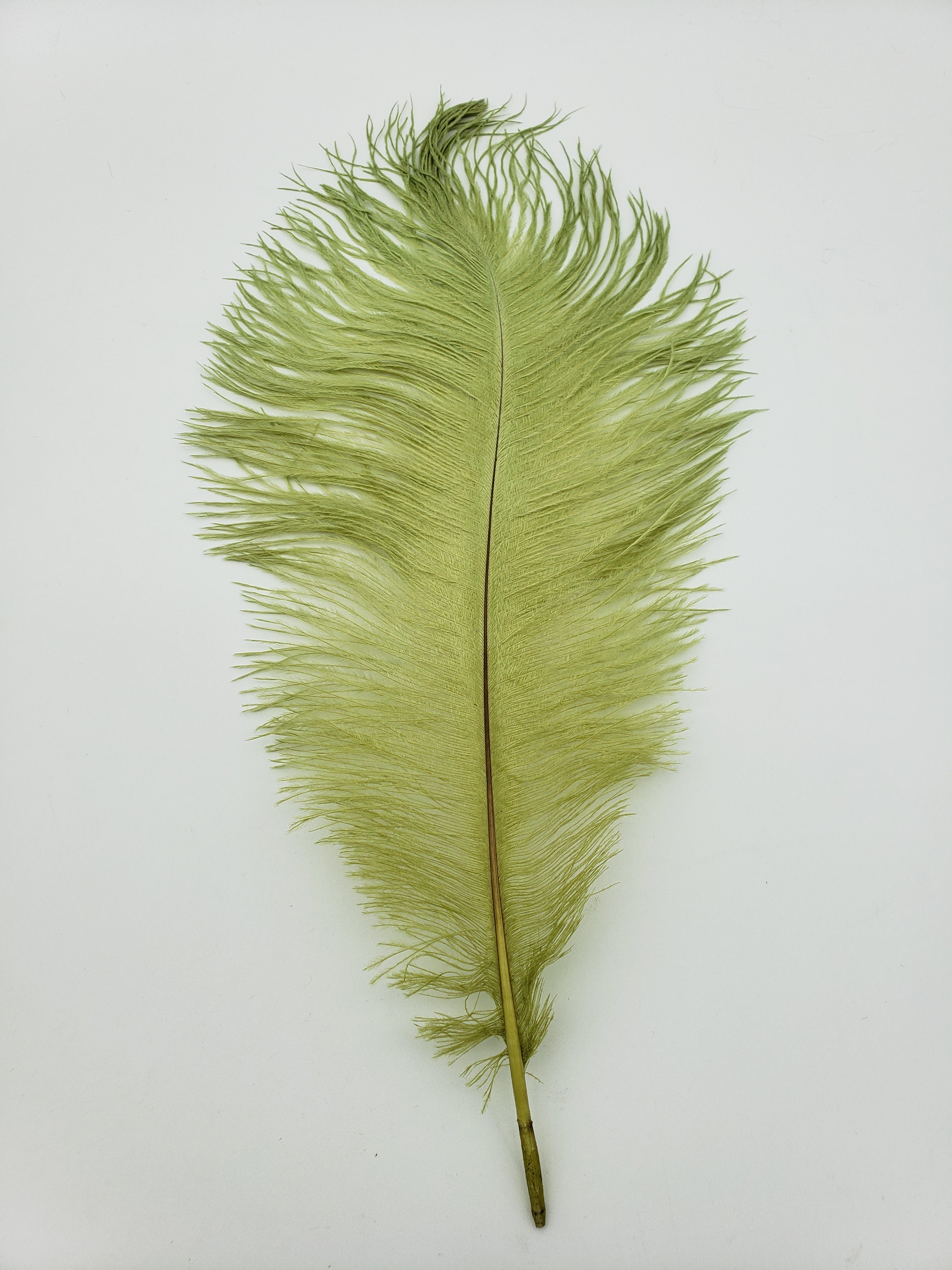 Spey Stuff Ostrich Plumes – Sea-Run Fly Tackle