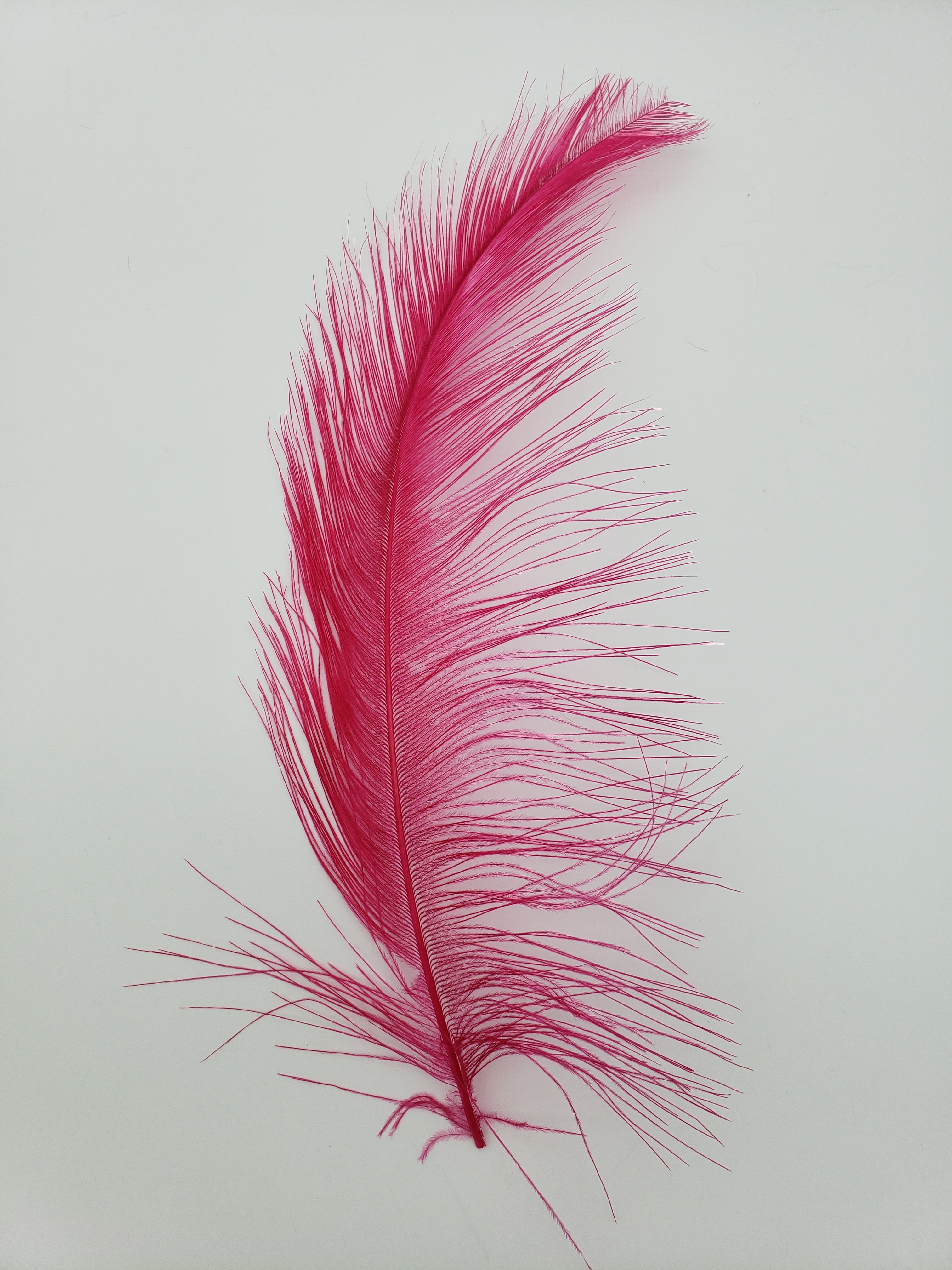 Fly Tying Feathers - RHEA - The Canadian Tube Fly Company