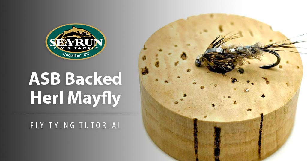 ASB Backed Herl Mayfly Nymph Fly Tying Tutorial