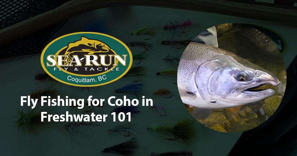 Fly Fishing for Coho in Freshwater 101