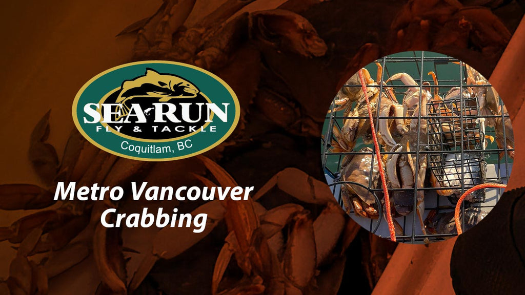 Let’s Go Crabbing – A Guide to Metro Vancouver Crab Fishing