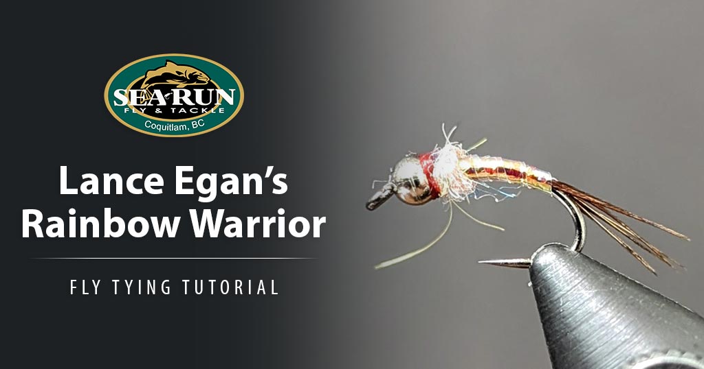 Rainbow Warrior Fly Tying Tutorial