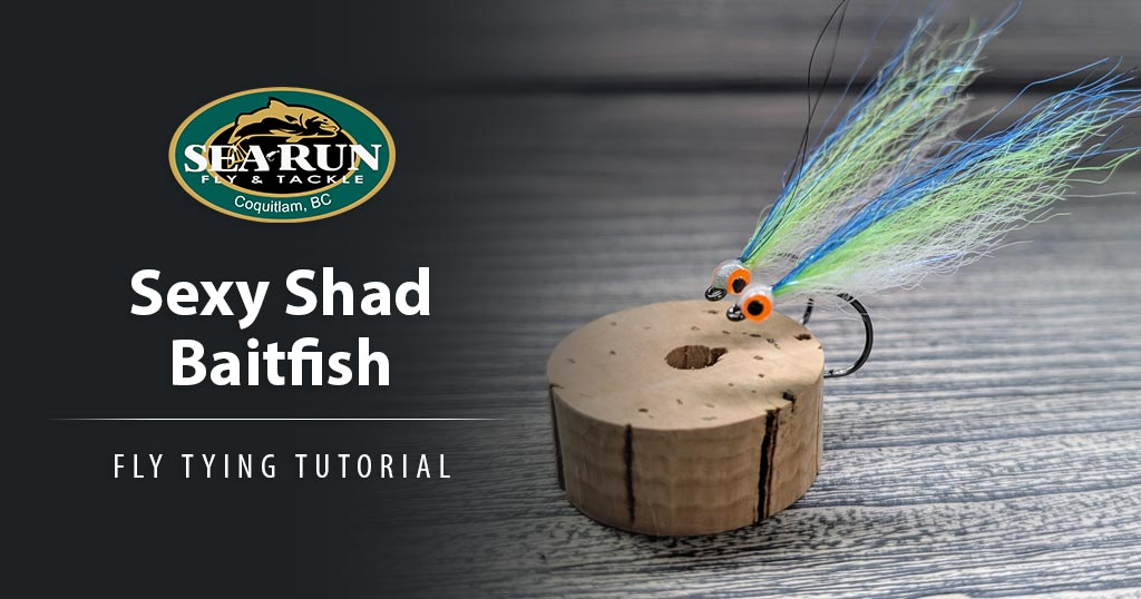Sexy Shad Baitfish Coho Beach Fly Tying Tutorial