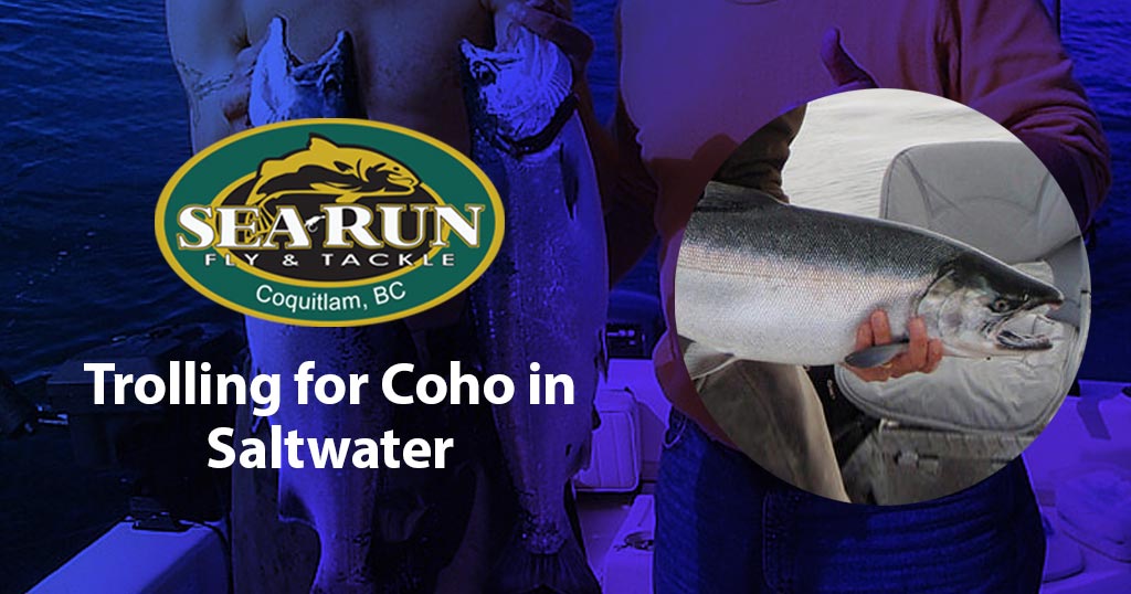 Trolling for Coho in Saltwater