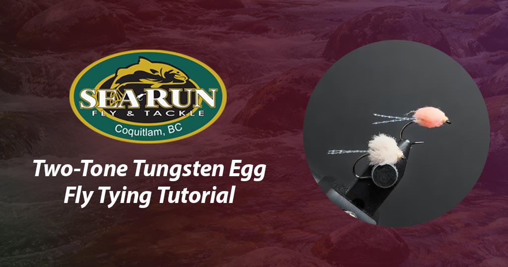 Two-Tone Tungsten Egg Fly Tying Tutorial