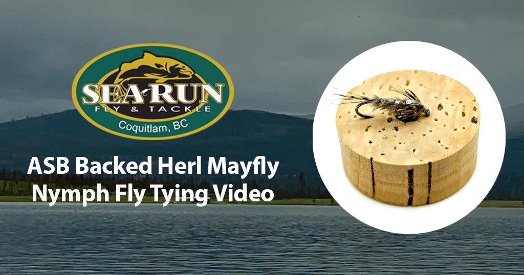 ASB Backed Herl Mayfly Nymph Fly Tying Video