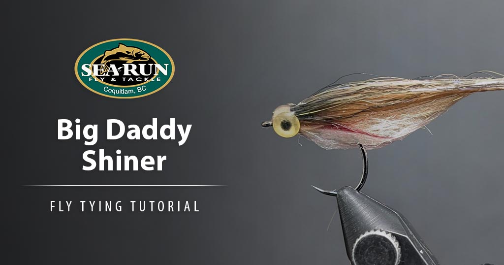 Big Daddy Shiner Fly Tying Tutorial