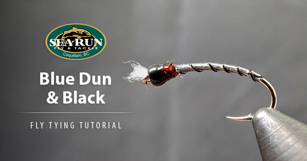 Blue Dun and Black Rib Chironomid Fly Tying Tutorial