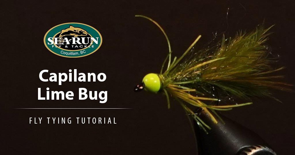 Capilano Lime Bug Fly Tying Tutorial
