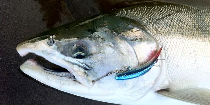 Vancouver Beach Fishing for Salmon