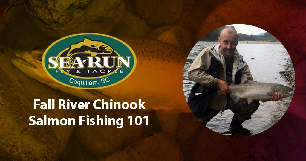 Fall Chinook Salmon Fishing 101