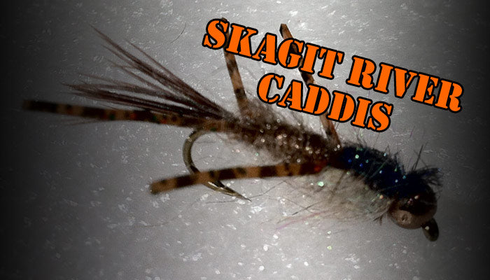 Fly of the Week: Andrew’s Skagit River Caddis