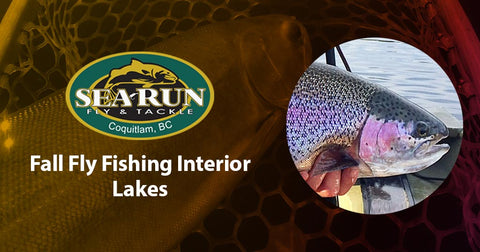 Fall Fly Fishing Interior Lakes of BC – Sea-Run Fly & Tackle