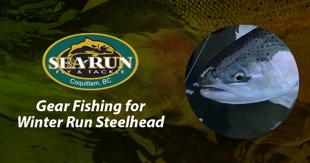 Gear Fishing For Winter Run Steelhead