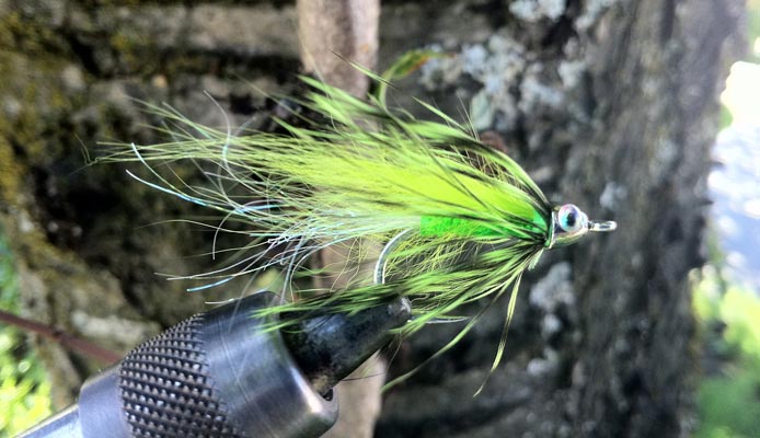 Weekly Fly Recipe: The Green Fox Coho Crusher – Sea-Run Fly & Tackle