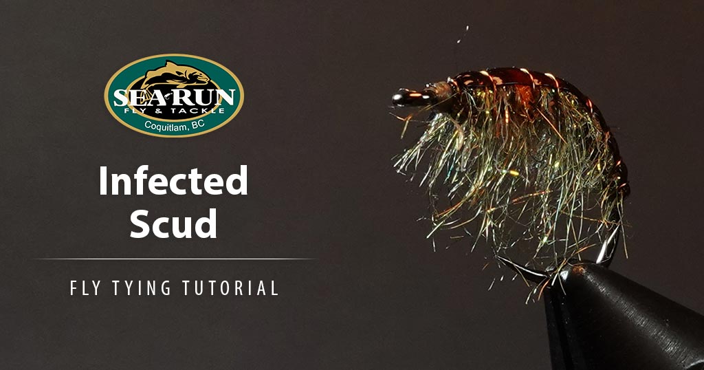 The Infected Scud Fly Tying Tutorial