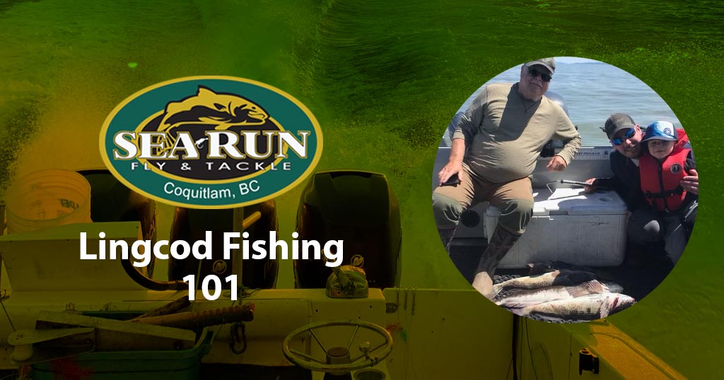 Lingcod Fishing 101