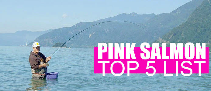 Sea-Run Fly & Tackle's Pink Salmon Top 5