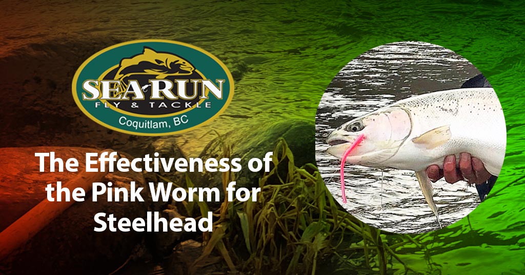 The Effectiveness of the Pink Worm for Steelhead – Sea-Run Fly & Tackle