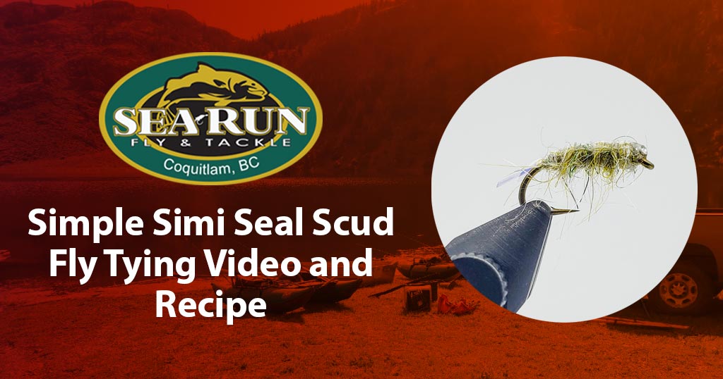 Simple Simi Seal Scud Fly Tying Video and Recipe