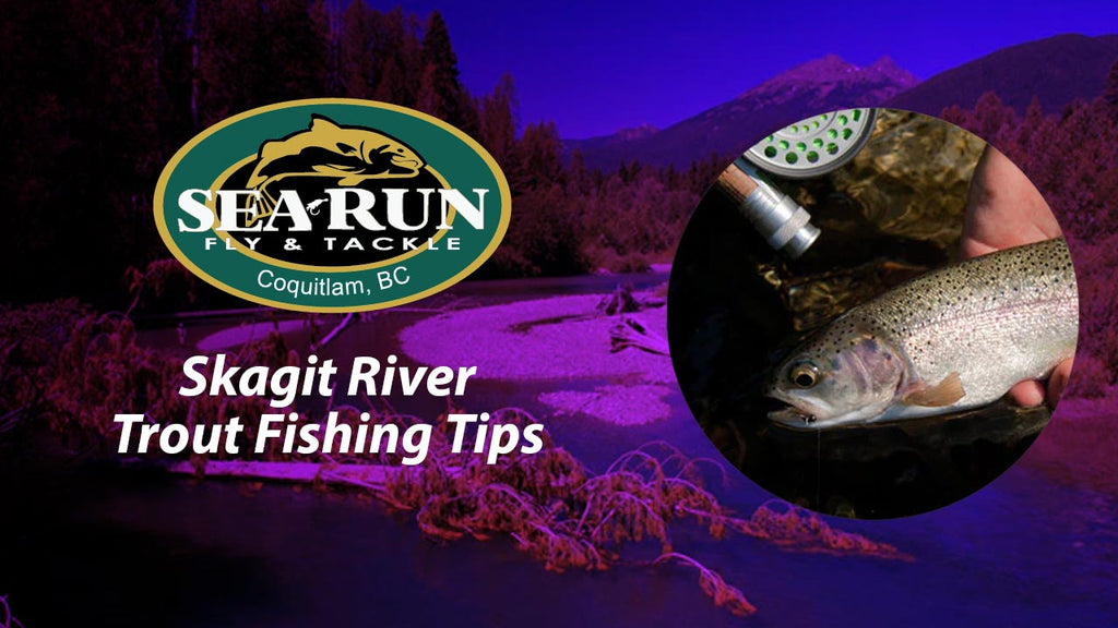 Skagit River Trout Fishing Tips