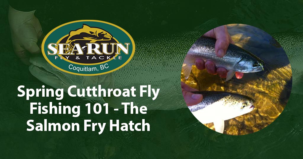 Spring Cutthroat Fly Fishing 101 - The Salmon Fry Hatch – Sea-Run Fly &  Tackle