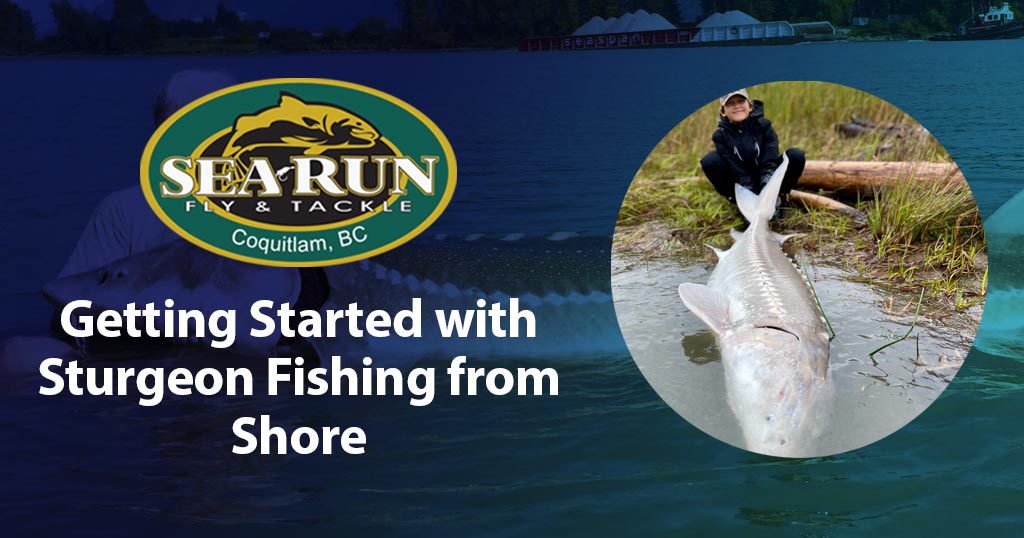 Getting Started with Sturgeon Fishing from Shore – Sea-Run Fly & Tackle