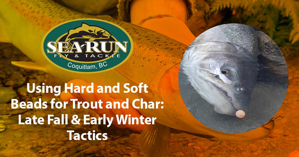 Using Hard and Soft Beads for Trout and Char – Late Fall & Early Winter Tactics