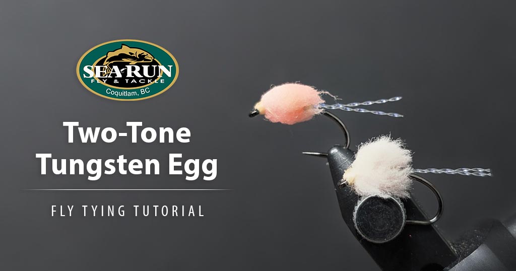 Two-Tone Tungsten Egg Fly Tying Tutorial