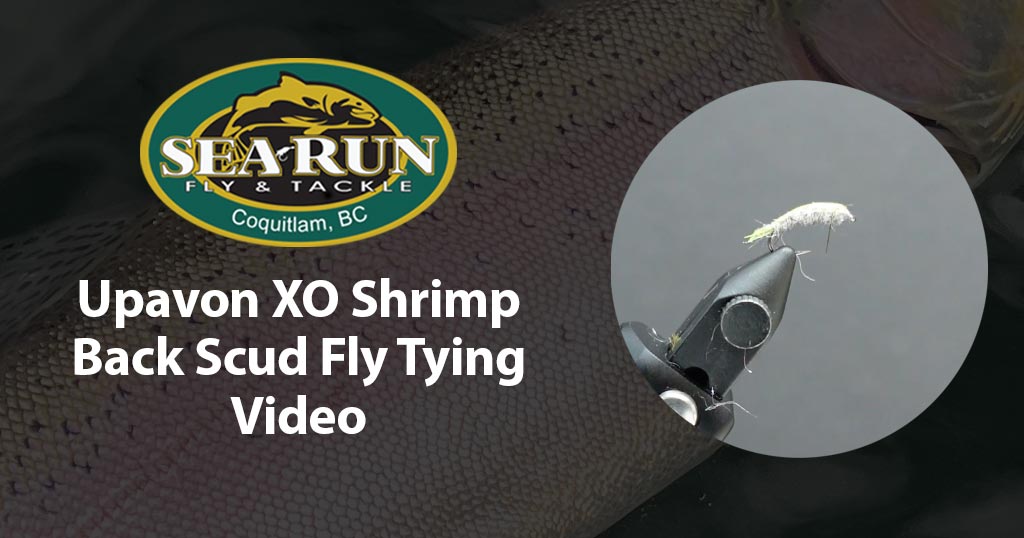 Upavon XO Shrimp Back Scud Fly Tying Video and Recipe
