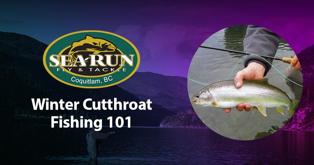 Winter Cutthroat Fishing 101 – Sea-Run Fly & Tackle