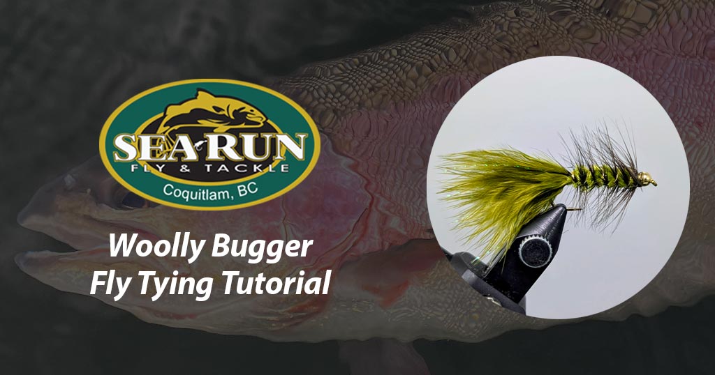 Woolly Bugger Fly Tying Tutorial