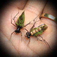 Essential Stillwater Patterns for Success with Stanton Jack