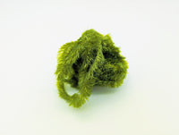 Hareline Jellyblobfritz Chenille