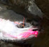 Salmon, Steelhead and Trout Jig Tying Course