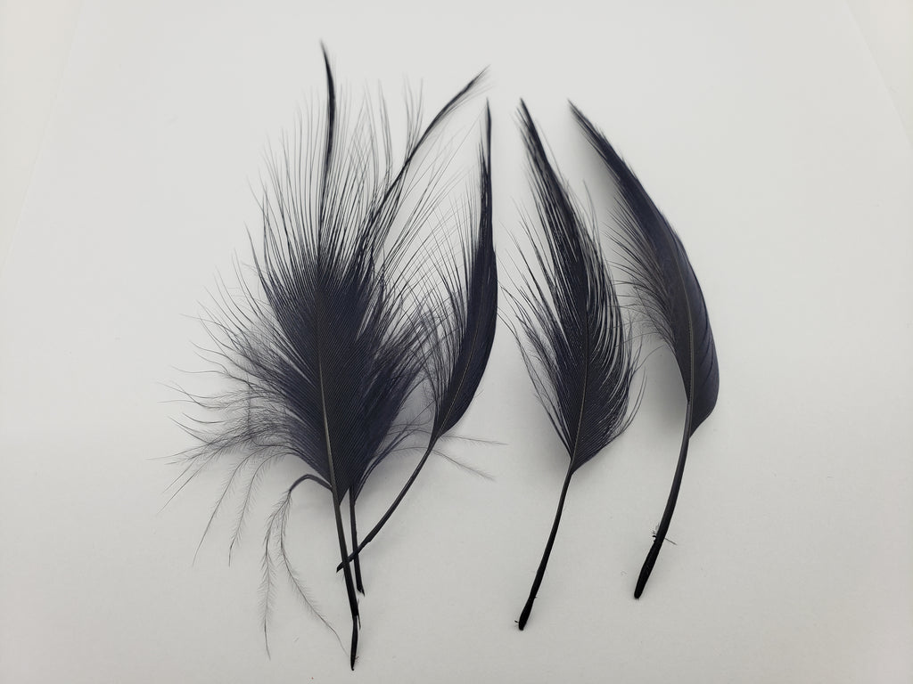 Lagartun Heron Feathers