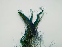 OfishL Peacock Swords