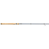 Pflueger President Spinning Rod