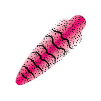 Pro Sportfisher Pro Shrimpshell (No Eyes)