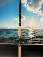R3EF Spinning Rod