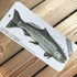 RiverWalker BC Coastal Cutthroat Sticker