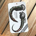 RiverWalkerBC Chironomid Stickers